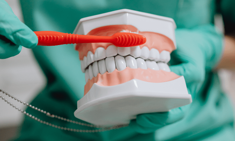 With consistent care and attention, you can maintain healthy gums and reduce your risk of gum disease significantly. 
